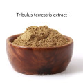 100% Natural Tribulus Terrestris Powder Extract